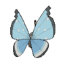 Vivillon tundra
