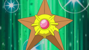 EP985 Staryu de Misty.png