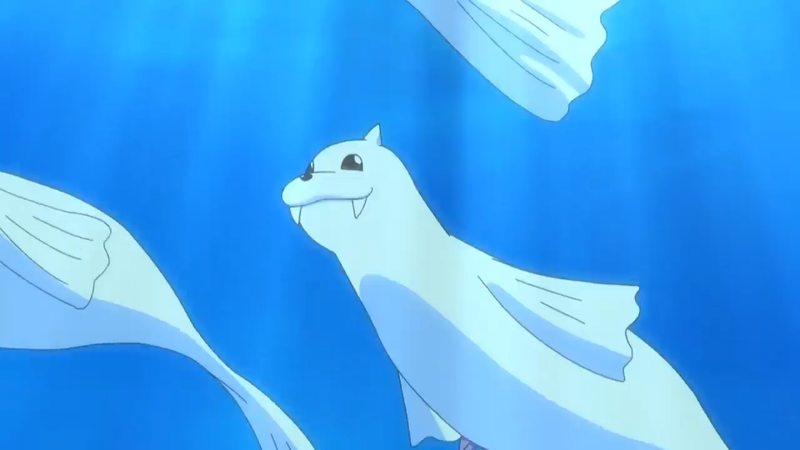 Archivo:EP1091 Dewgong.png