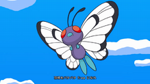 Butterfree