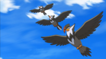 Staravia