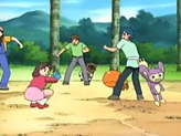 Zigzagoon