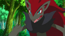 Zoroark