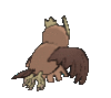 Imagen posterior de Noctowl en Pokémon X, Pokémon Y, Pokémon Rubí Omega, Pokémon Zafiro Alfa, Pokémon Sol, Pokémon Luna, Pokémon Ultrasol y Pokémon Ultraluna