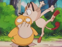 Meowth usando mordisco.
