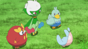 EP1289 Roserade, Darumaka y Ducklett.png