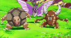 Imagen de Pinsir