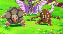 Imagen de Pinsir