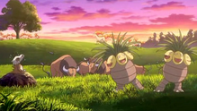 Imagen de Exeggutor