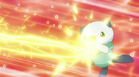 Oshawott protegiéndose con su concha/vieira.