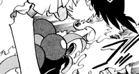 Arcanine usando lanzallamas.
