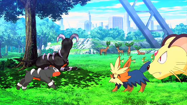 Archivo:P16 Houndour y Herdier.png - WikiDex, la enciclopedia Pokémon