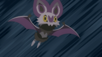 Imagen de Noibat