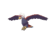 Imagen de Braviary en Pokémon Espada y Pokémon Escudo
