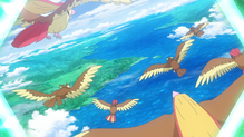 Pidgeotto