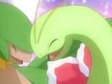 Meganium