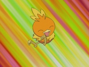 EP349 Torchic.png