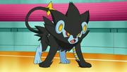 EP648 Luxray de Lectro.png
