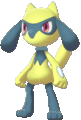 Imagen de Riolu en Pokémon Espada y Pokémon Escudo