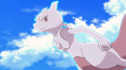 P16 Mewtwo.png