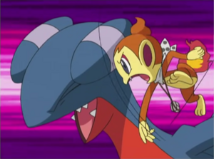 Chimchar usando golpes furia.