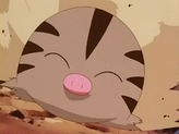 Swinub