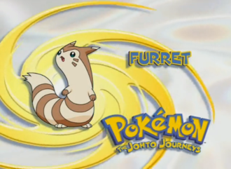 Furret