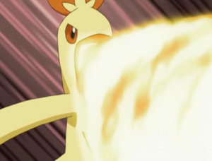 Combusken usando giro fuego.