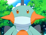Marshtomp