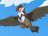 Staraptor