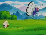 Butterfree
