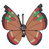 Vivillon isleño