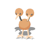 Doduo