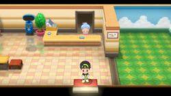Interior de Cuidados Pokémon de Pueblo Sosiego