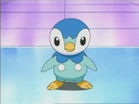 Imagen de Piplup