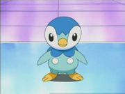 Piplup.