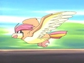 Pidgeotto