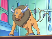 EP447 Tauros.png