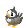 Starly HOME hembra.png