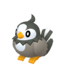 Starly HOME hembra.png