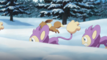 Aipom