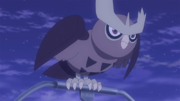 EP1238 Noctowl.png