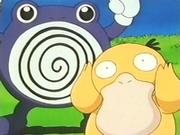 EP157 Psyduck y Poliwhirl.png