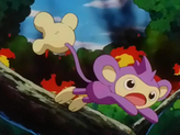 Aipom