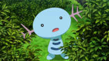 Wooper