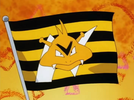 Bandera de los Electabuzz.