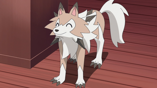 Imagen de Lycanroc