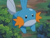 Mudkip