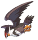 Staraptor
