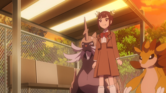 Ann junto con su Samurott y Sandslash.